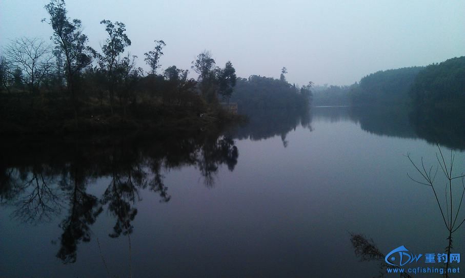 IMAG0865.jpg