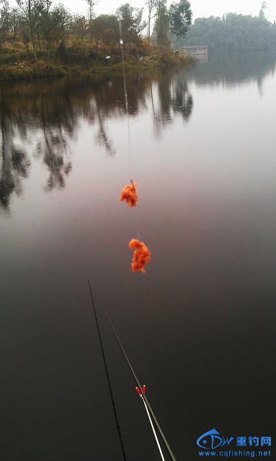 IMAG0870.jpg