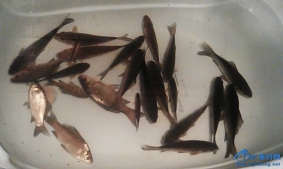IMAG0882.jpg