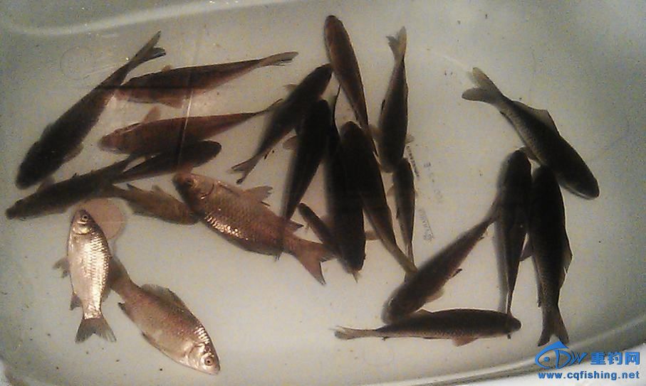 IMAG0883.jpg