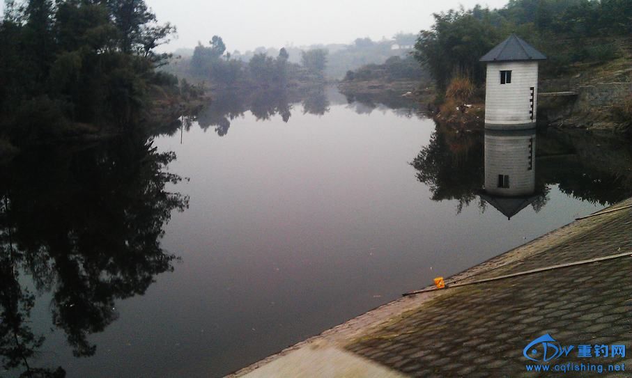 IMAG0888.jpg