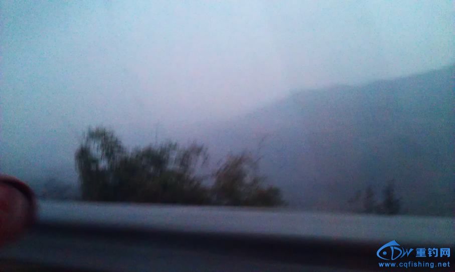 IMAG0909.jpg