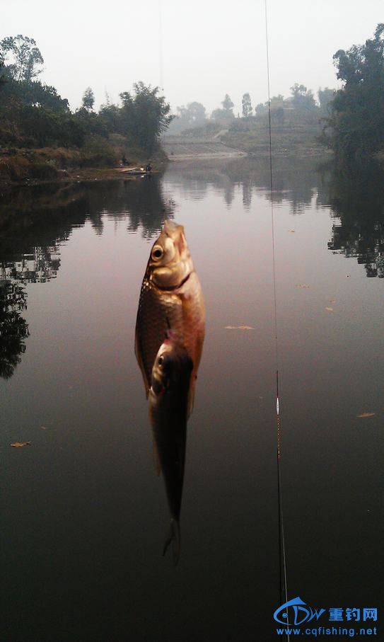 IMAG0900.jpg