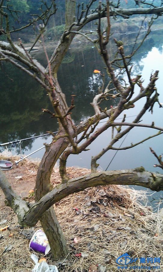 IMAG0902.jpg