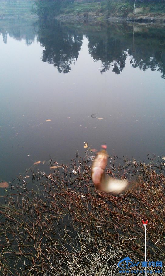 IMAG0904.jpg