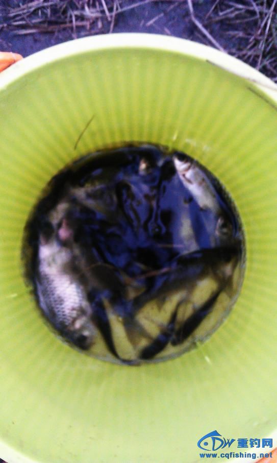 IMAG0906.jpg