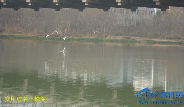 DSC07962_.jpg