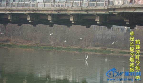 DSC07959__.jpg