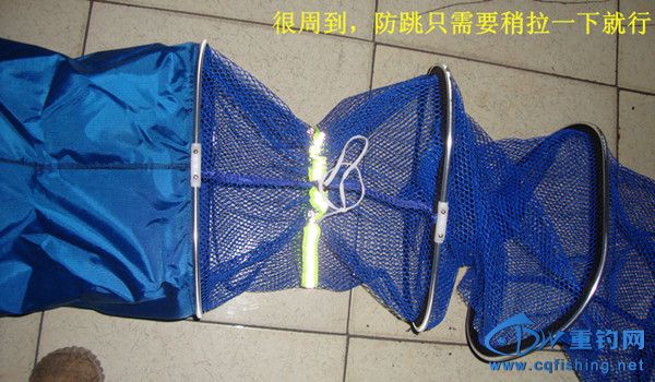 DSC08005__.jpg