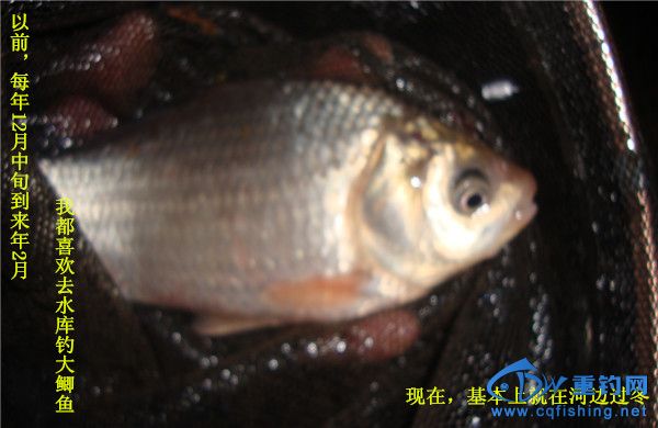 DSC07924_.jpg