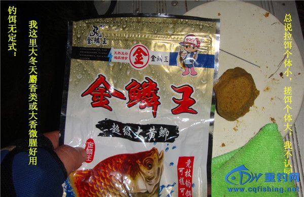 DSC07925_.jpg
