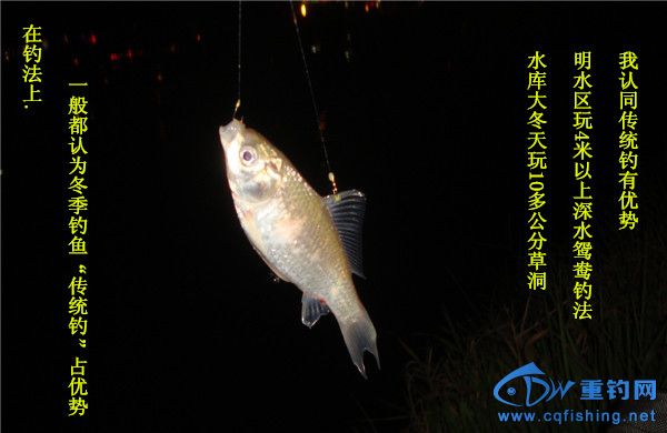 DSC07930_.jpg