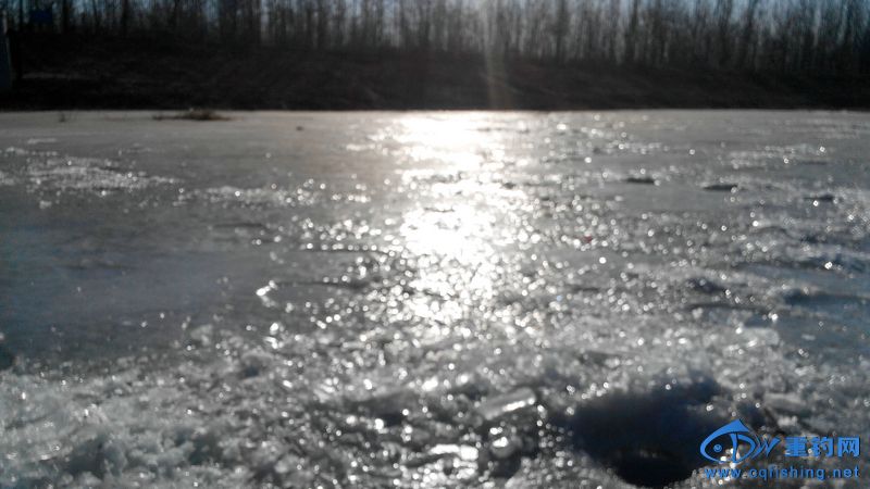 IMG_20140130_094431.jpg
