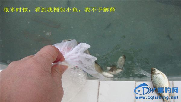 DSC08076_.jpg