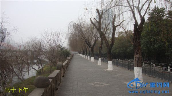 DSC08128__.jpg