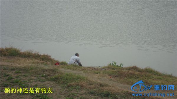 DSC08131_.jpg