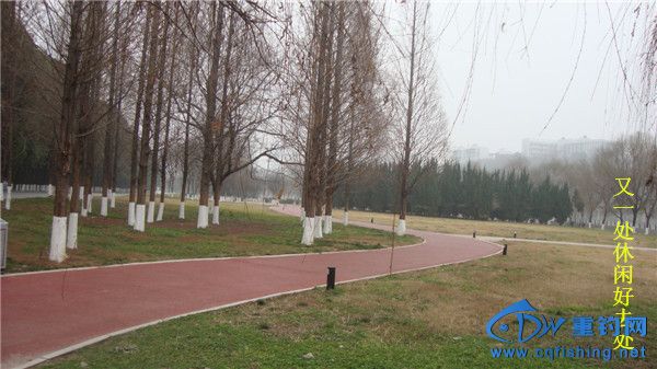 DSC08137_.jpg
