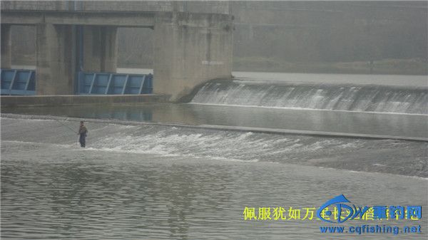DSC08141_.jpg