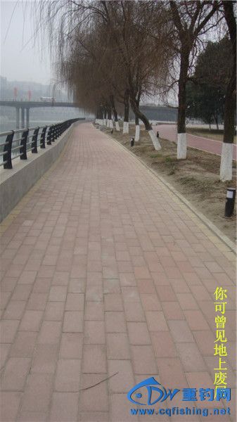 DSC08148_.jpg