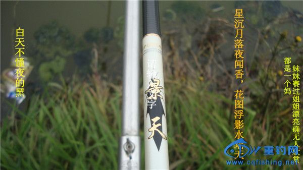 DSC08180_.jpg