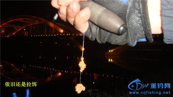 DSC08220_.jpg