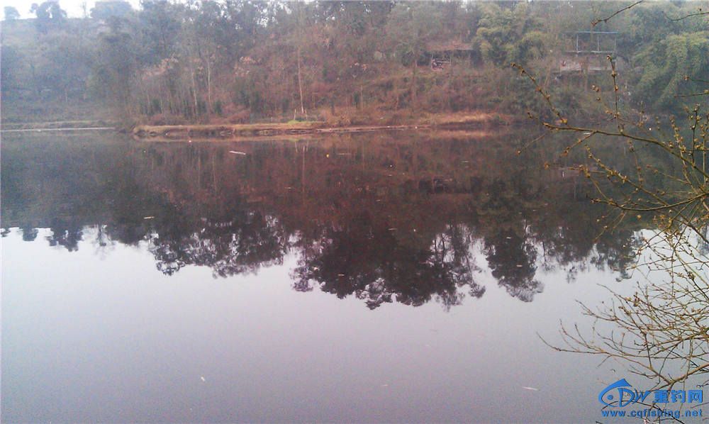 IMAG0995.jpg