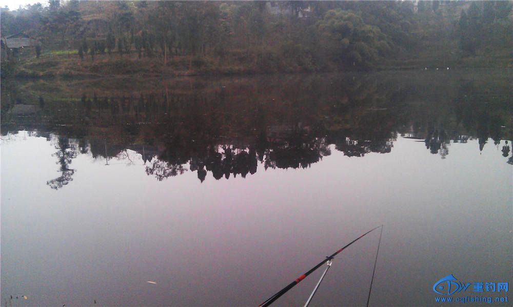 IMAG0996.jpg