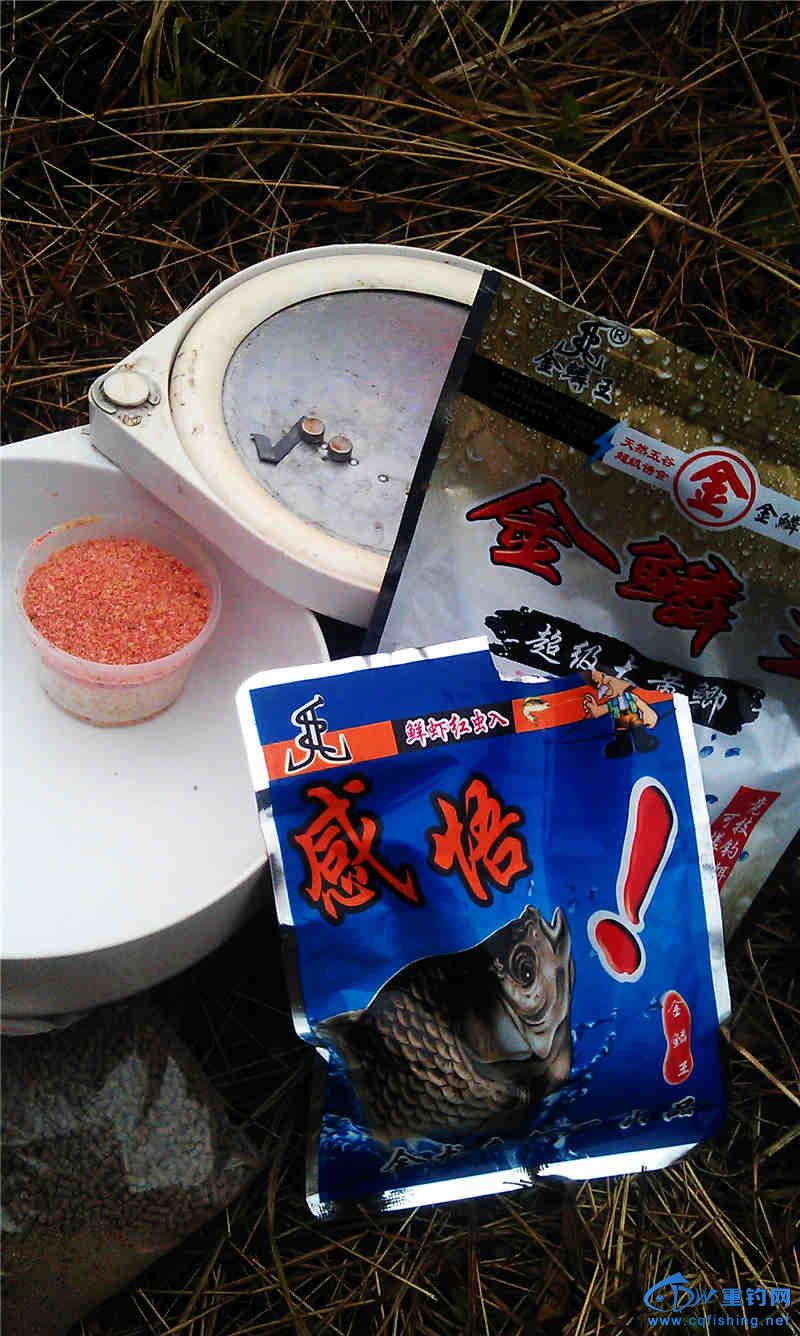 IMAG0999.jpg