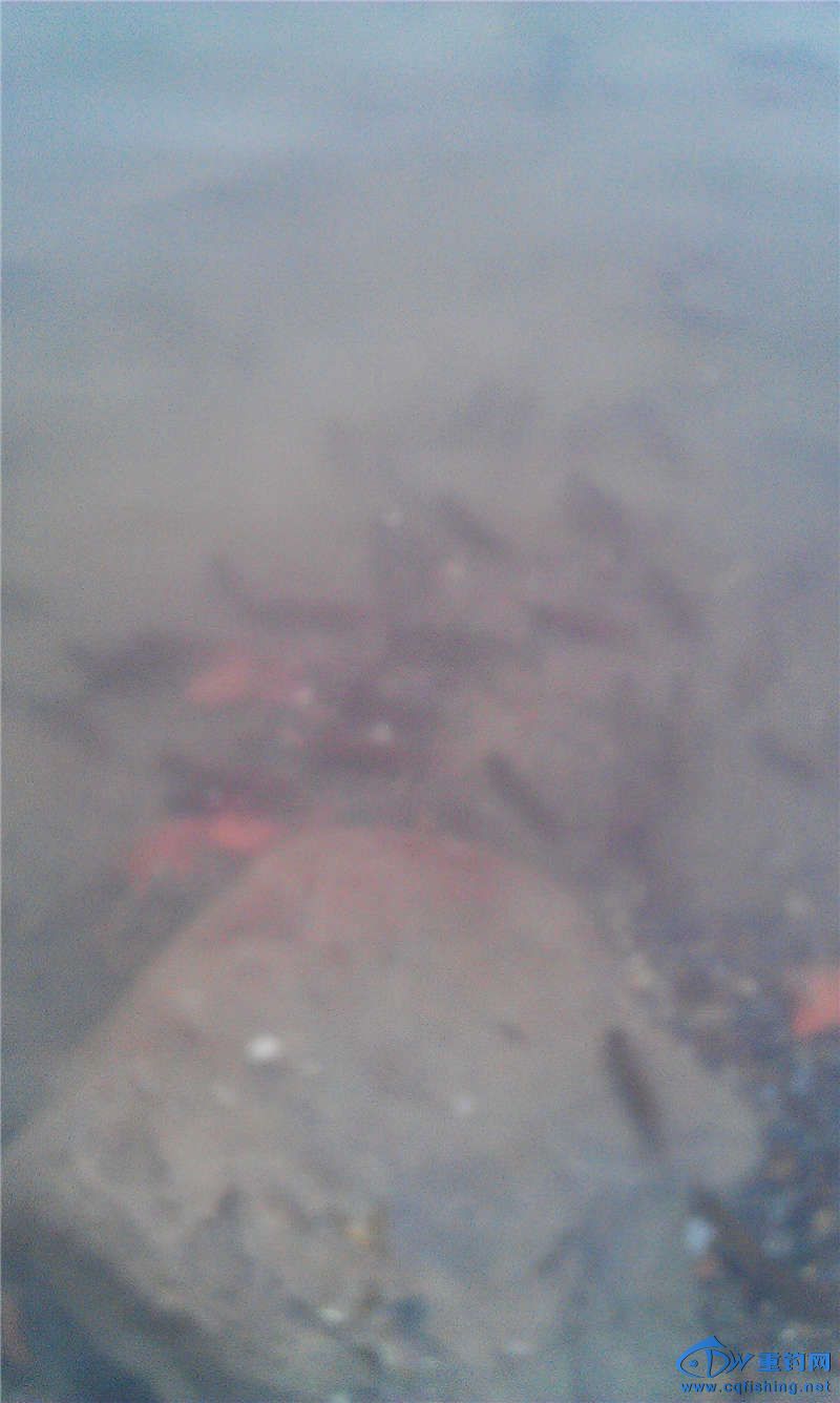 IMAG1023.jpg