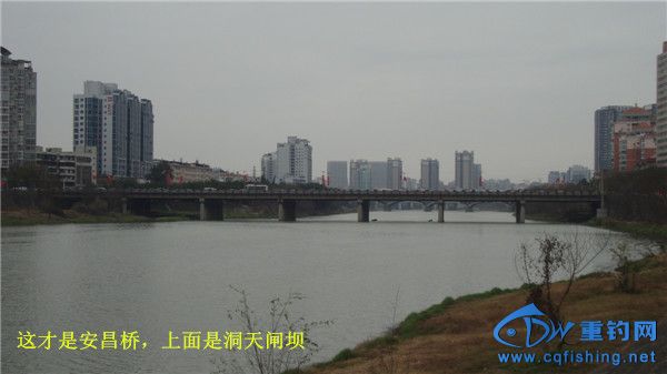 DSC08274_.jpg