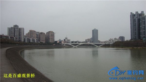 DSC08275_.jpg