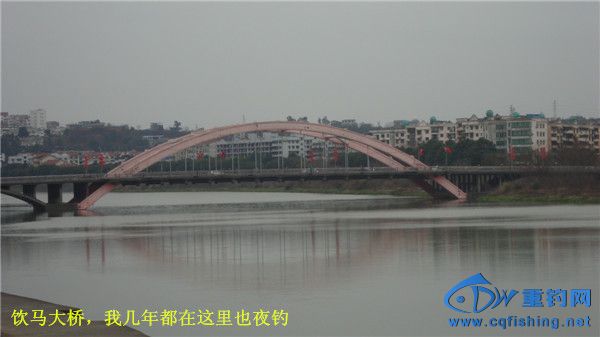 DSC08276_.jpg
