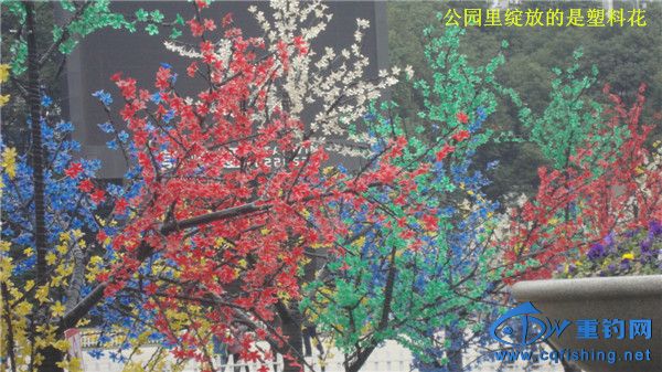 DSC08265_.jpg