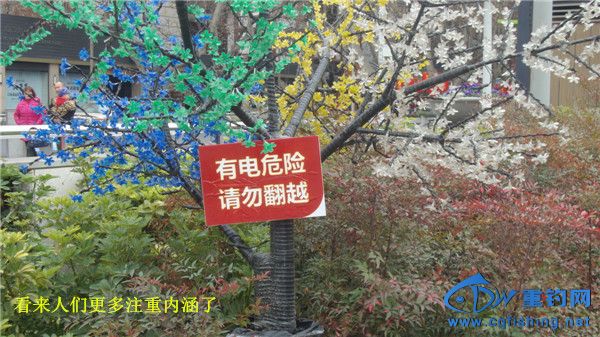 DSC08266_.jpg