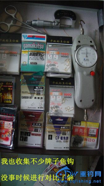 DSC08246_.jpg