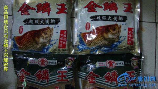 DSC08272_.jpg
