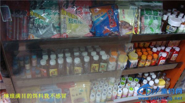 DSC08270_.jpg