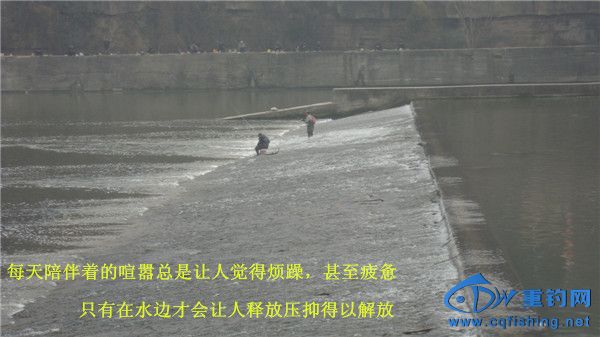 DSC08240_.jpg