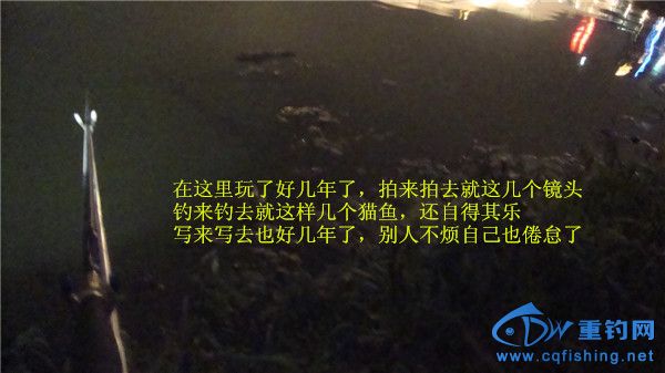 DSC08256_.jpg