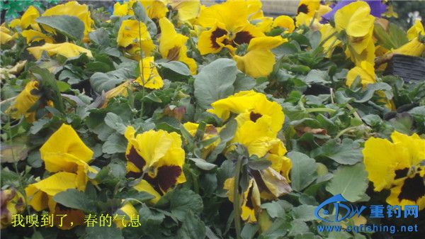DSC08267_.jpg