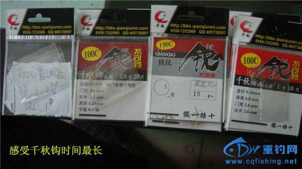DSC08242_.jpg