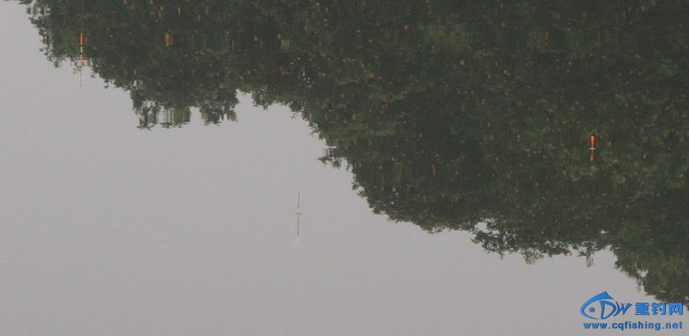㶦1.jpg