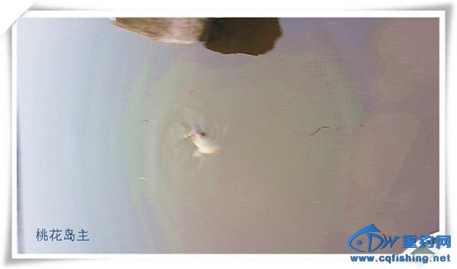 20140223_103928.jpg