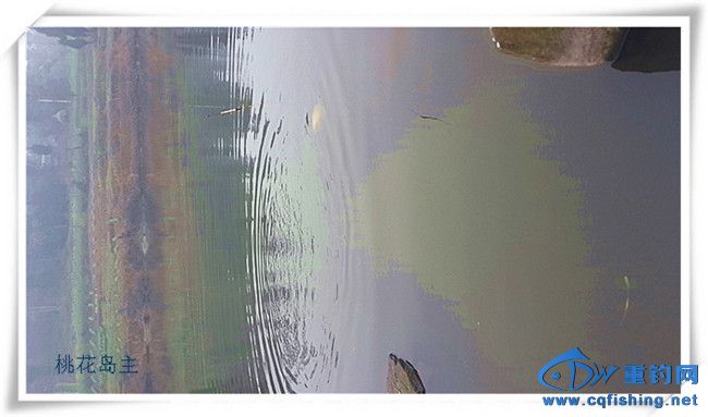 20140223_142125.jpg