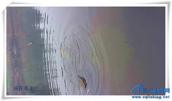 20140223_142147.jpg