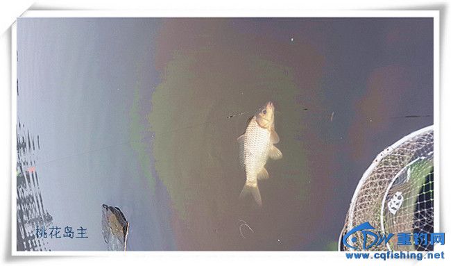 20140223_142217.jpg