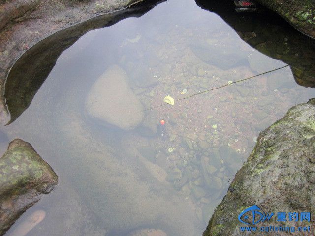 Ƭﻨ 395.jpg