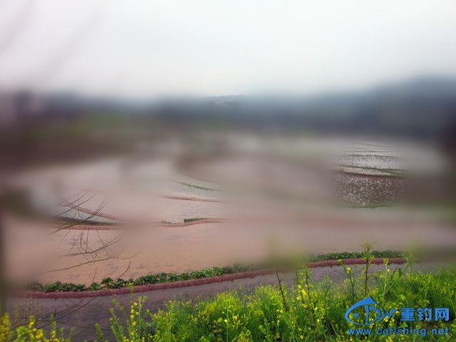 Ƭﻨ 409_.jpg