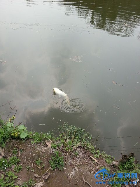 20140311_135239.jpg
