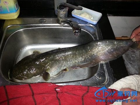 20140311_154459.jpg
